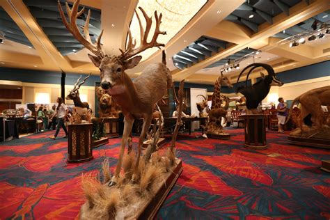 Hunters expo mcallen. Things To Know About Hunters expo mcallen. 